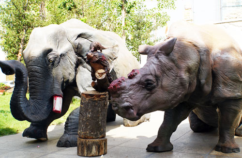 Tượng voi, tê giác, tê tê tại sân Pháp viện Minh Đăng Quang. Ảnh: Mạnh Tùng.