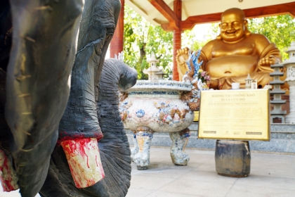 Tượng voi, tê giác kêu cứu dưới chân Phật ở Sài Gòn