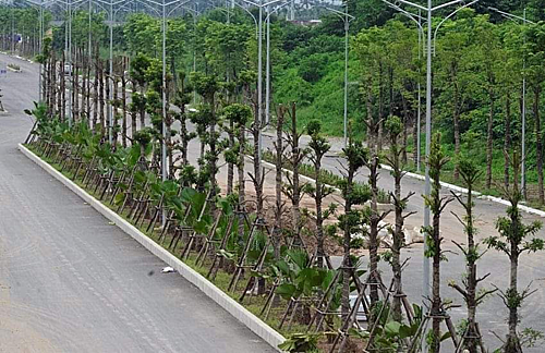 phía Tây Nam còn nổi bật bởi hệ thống trường học, bệnh viện, công viên, trung tâm thương mại - giải trí, chăm sóc sức khỏe được đầu tư đồng bộ.