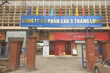 Đông Anh (Hà Nội): Cty CP Cầu 3 Thăng Long cho “thuê đất” theo kiểu bán quyền sử dụng đất trái pháp luật