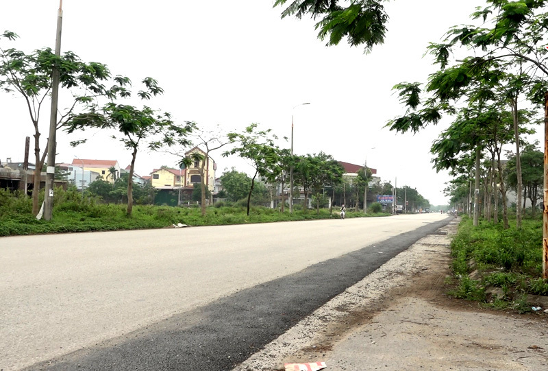 Hà Nội ngàn tỷ chôn vùi: Đau lòng siêu đô thị chỉ để nuôi vịt, thả bò