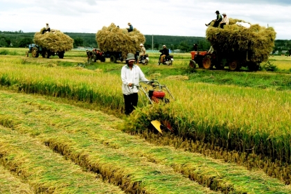 Hiệu quả tín dụng cho vay lĩnh vực nông nghiệp, nông thôn
