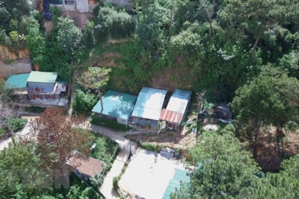Hàng loạt nhà không phép mọc giữa rừng thông tại Đà Lạt