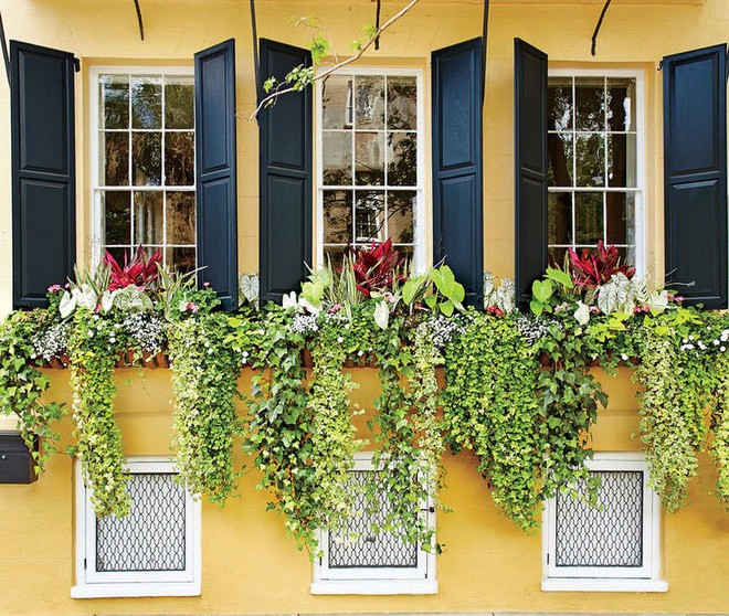 Trang trí cửa sổ xinh lung linh với cách tạo hộp hoa treo đầy hương thơm, màu sắc