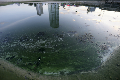 Nhiều cống xả thải ra biển đang gây ô nhiễm, ảnh hưởng đến du lịch. Ảnh: Nguyễn Đông.