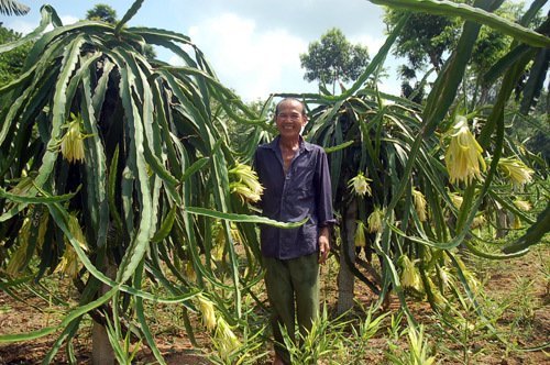 Sâu béo nhung nhúc: Đặc sản kinh hoàng, dân Việt nhậu lai rai