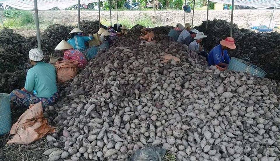Nỗi lo Trung Quốc và lá đơn cầu cứu: Rơi nước mắt đến bao giờ