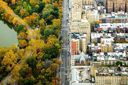 Lá phổi của New York chuyển vàng vào mùa thu