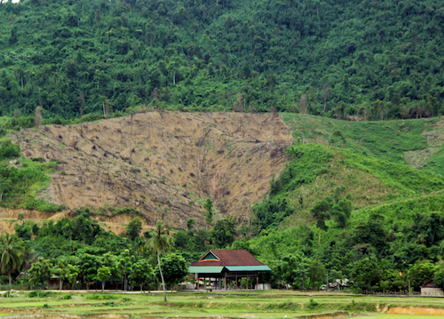 Một cánh rừng ở xã Phúc Sơn (huyện Anh Sơn) nơi đàn voi rừng từng quay trở lại. Ảnh: Hiến Tùng.
