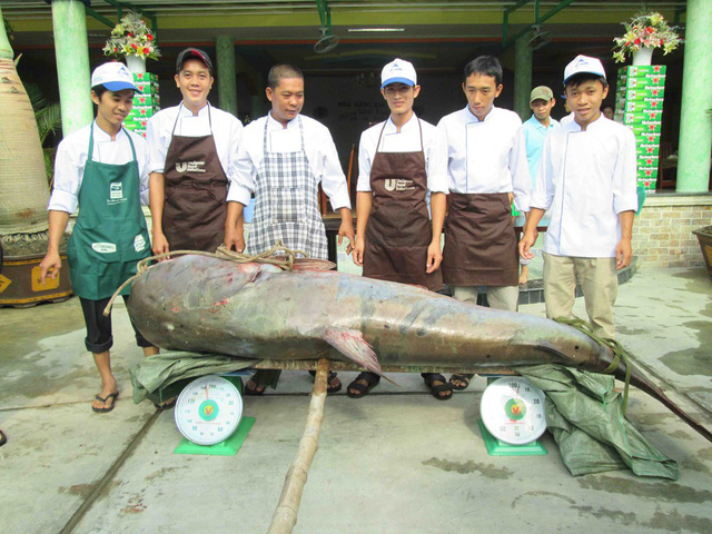  Ngày 11/12/2013, một nhà hàng ở TP.Long Xuyên, tỉnh An Giang cũng mua được con cá tra dầu “khủng” nặng đến 247kg của ngư dân Campuchia đánh bắt được trên vùng Biển Hồ của nước này. Ảnh: Zing.vn 