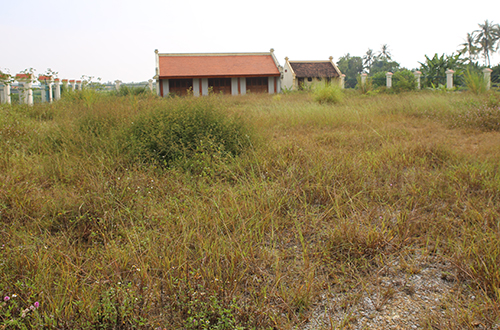 Khuôn viên khu nhà đón tiếp có nơi cỏ tốt cả mét. Ảnh: Nguyễn Hải.