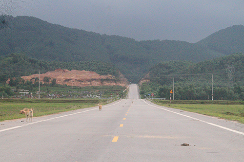 2,3 km đường tỉnh lộ 21 kéo dài do huyện Thạch Hà làm chủ đầu tư hoàn thành từ hai năm trước. Ảnh: Đức Hùng