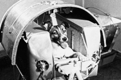 Ngày này năm xưa Câu chuyện về chú chó bay vào vũ trụ