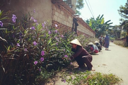 “Đường hoa” và nét đẹp Nông thôn mới tại Thái Nguyên