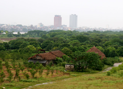 thu-tien-thue-dat-voi-cac-doanh-nghiep-su-dung-dat-tai-bai-song-hong