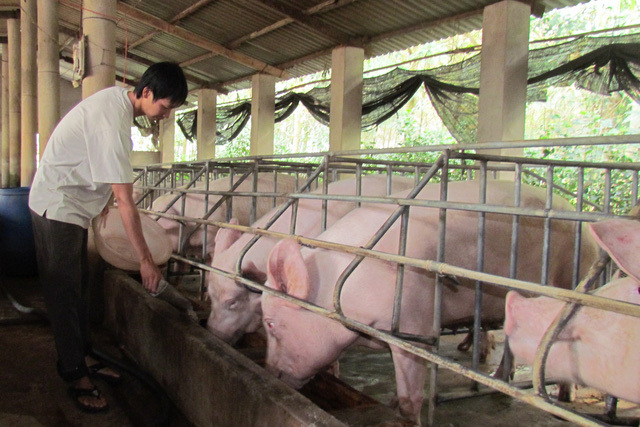 Vượt Trung Quốc, Thái Lan: Chuyện chưa từng có, Việt Nam chiếm đỉnh cao thế giới