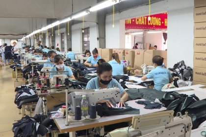 Thái Bình: Chú trọng đẩy mạnh công tác giải quyết việc làm cho người lao động